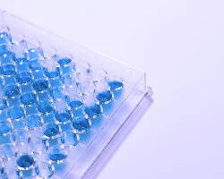 PCR_and_RT-PCR_Kits image